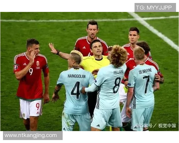 冰岛与匈牙利激战成平局双方各取一分展现实力