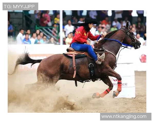 北京乒乓球队耐力对比深度解析与训练方法探讨MBA