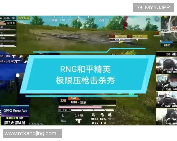 和平精英竞技场中RNG战队实力解析与未来展望MBA