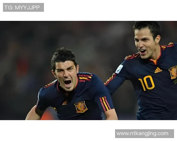 2010年西班牙与巴拉圭激战回顾央视精彩解说全记录