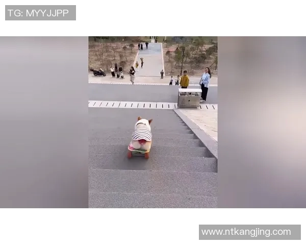 滑板梦想在北京：一支滑板队的拼搏与成长之路MBA