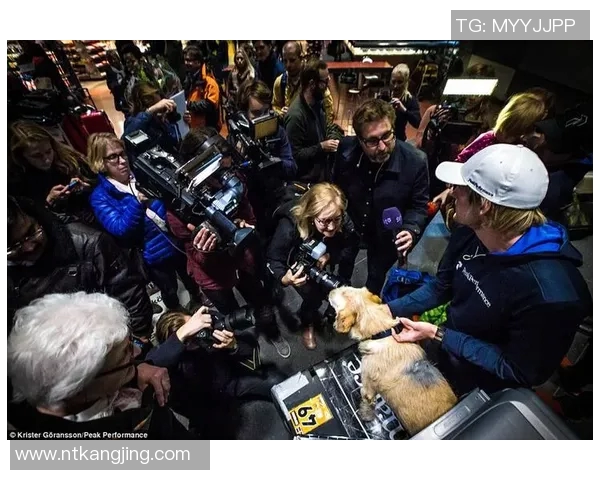 北京极限运动队转型之路：机遇与挑战并存的深度分析